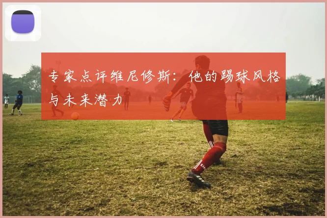 专家点评维尼修斯:他的踢球风格与未来潜力